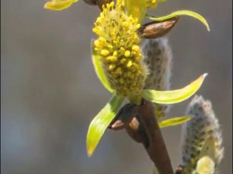 A Prayer For Harper Park