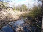 To end this wonderful workshop the whole group carpooled to a number of different streams that had already been remediated. This meandering stream was the last stop of the day in Richmond Hill ON.