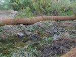 Sediment removal has already revealed a stream bed of small pebbles.  (Photo by Kim Zippel)